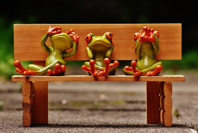 frogs on a bench